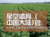 种植基地五(图1)