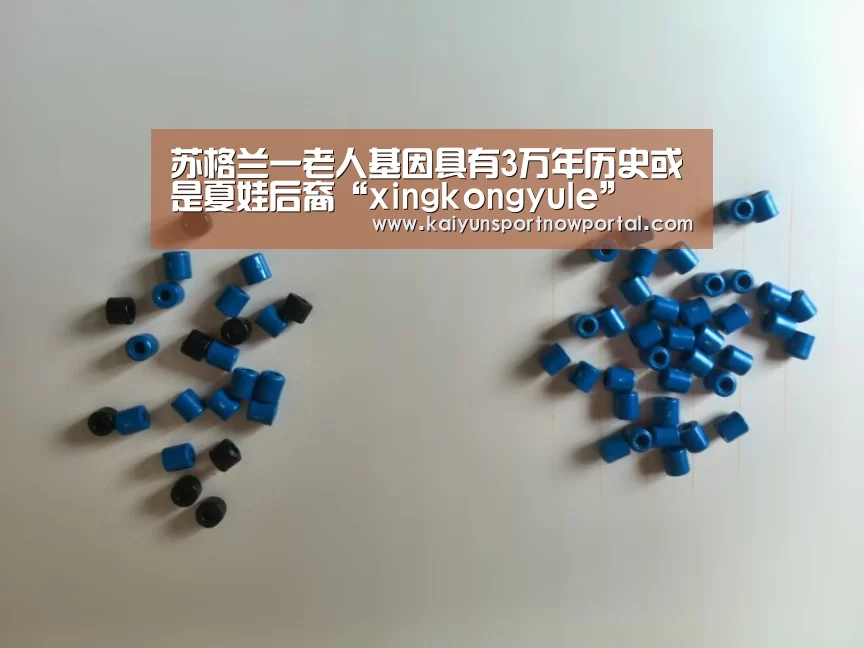 星空娱乐