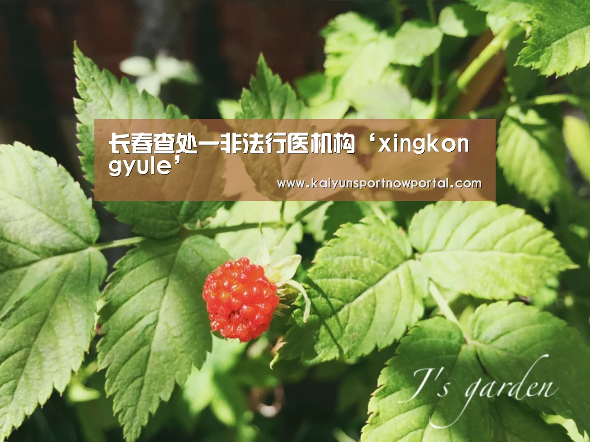 长春查处一非法行医机构‘xingkongyule’(图3) 星空娱乐