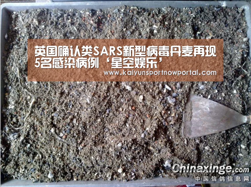 英国确认类SARS新型病毒丹麦再现5名感染病例‘星空娱乐’(图4) 英国确认类SARS新型病毒丹麦再现5名感染病例‘星空娱乐’(图4)