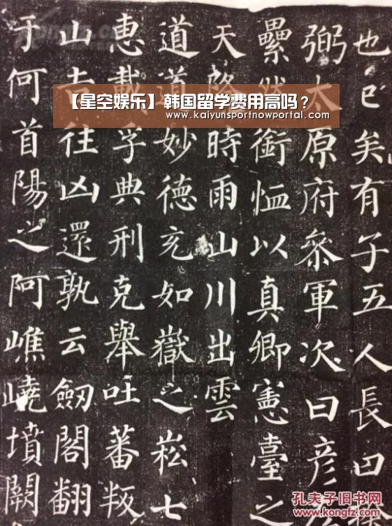 【星空娱乐】韩国留学费用高吗？(图3)
